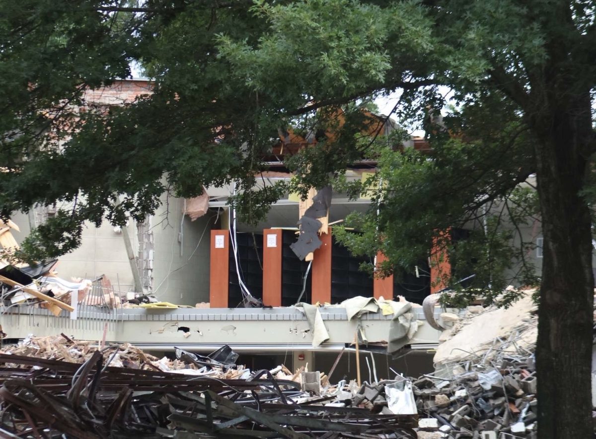 The stacks of the Hyde stand tall against the wreckage as construction begins.